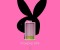 Bunny Theme Go Locker