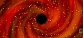 Black Hole lite